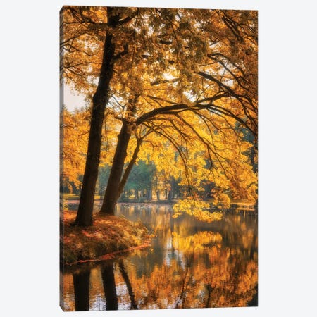 Leaves For Gold Canvas Print #PSL199} by Philippe Sainte-Laudy Canvas Artwork