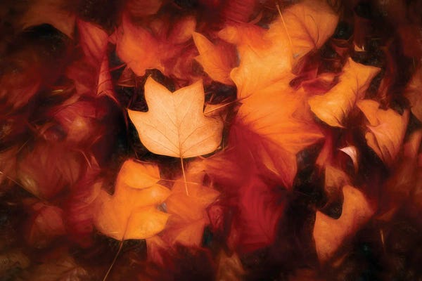 Leaves Colored Autumn Painting