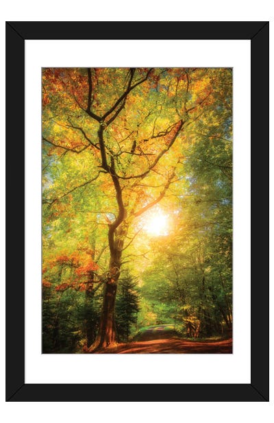A Day In Fall Framed Art Print - Philippe Sainte-Laudy