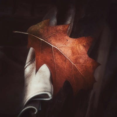 On The Corner by Philippe Sainte-Laudy framed canvas print