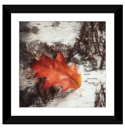 Capture Me If You Can Framed Art Print - Philippe Sainte-Laudy