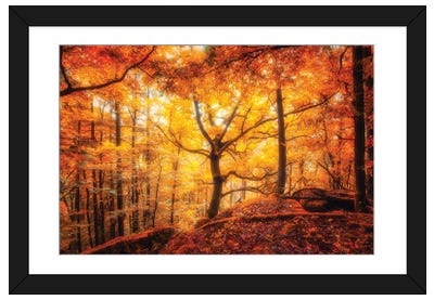 Lost In The Crimson Forest Framed Art Print - Philippe Sainte-Laudy