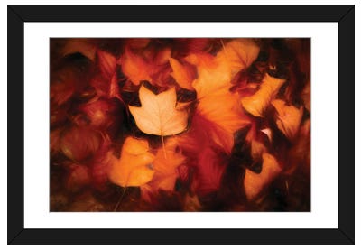 Leaves Colored Autumn Painting Framed Art Print - Philippe Sainte-Laudy