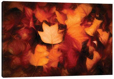 Leaves Colored Autumn Painting Canvas Art Print - Philippe Sainte-Laudy