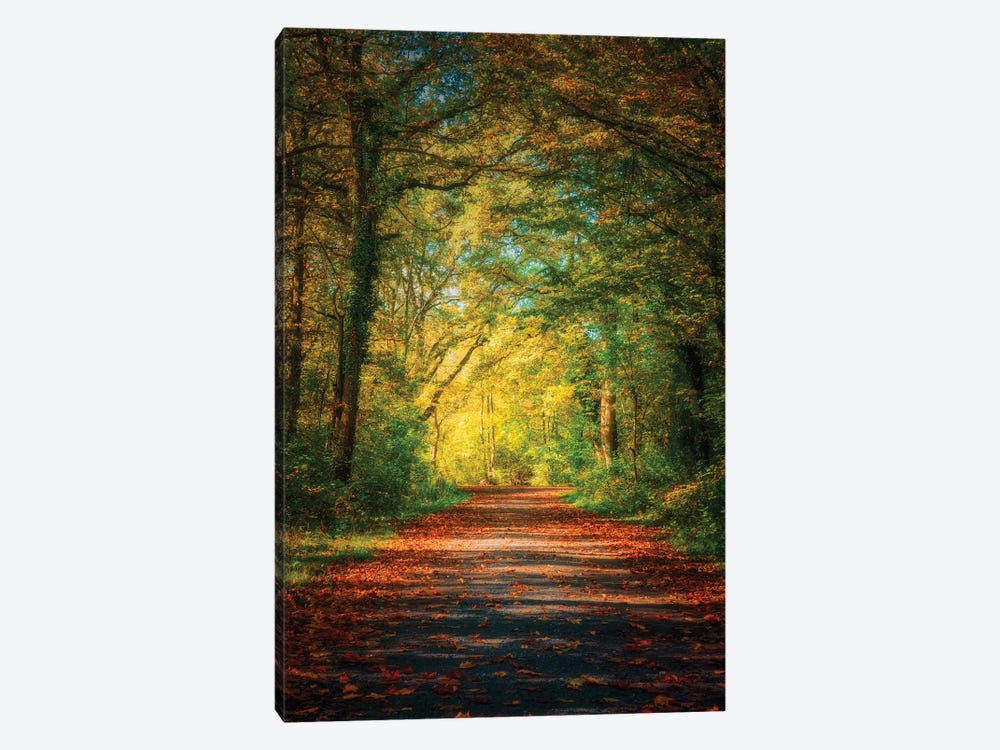 Mystic Autumn Day by Philippe Sainte-Laudy 1-piece Canvas Wall Art