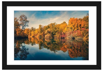 Brief Autumn Moment Framed Art Print - Philippe Sainte-Laudy