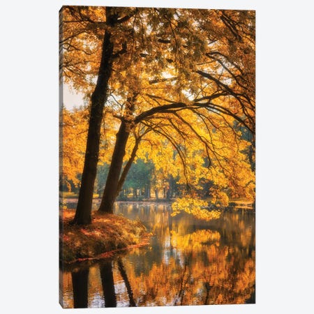 Leaves For Gold Canvas Print #PSL213} by Philippe Sainte-Laudy Canvas Art Print