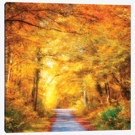 Brighter Days Canvas Print #PSL214} by Philippe Sainte-Laudy Canvas Wall Art