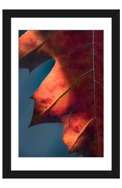 Autumn Sweetness Paper Art Print - Philippe Sainte-Laudy