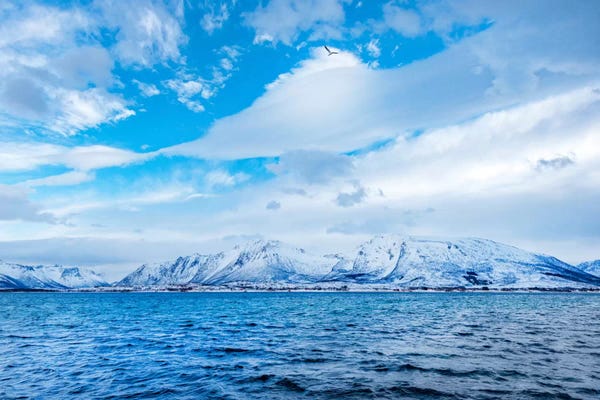 Snowy Mountains: Blue Fjord by Philippe Sainte-Laudy