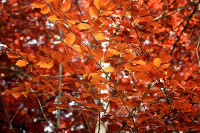 Breath Hold by Philippe Sainte-Laudy framed wall art