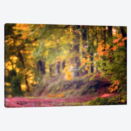 Fall Painting Art Print by Philippe Sainte-Laudy | iCanvas