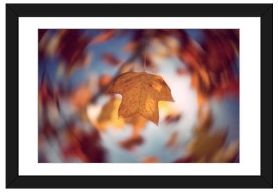 Complexity Framed Art Print - Philippe Sainte-Laudy