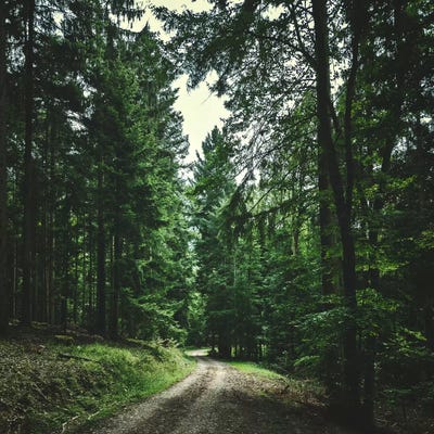 Daily Preview by Philippe Sainte-Laudy framed canvas print