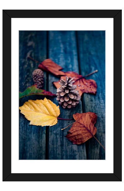 Deposited By The Wind Framed Art Print - Philippe Sainte-Laudy