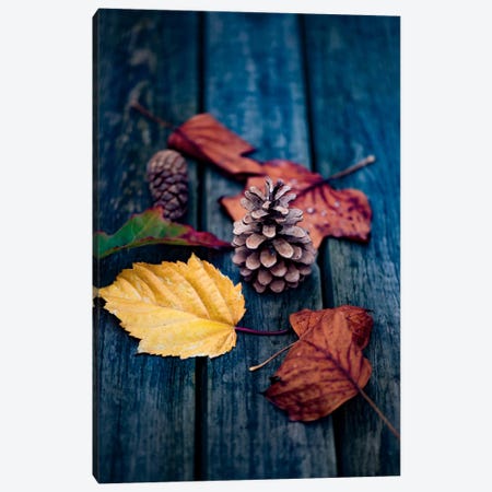 Deposited By The Wind Canvas Print #PSL53} by Philippe Sainte-Laudy Canvas Art Print