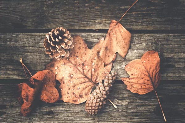 Still Life Photography: Down And Dirty by Philippe Sainte-Laudy