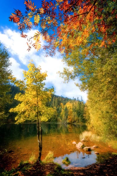 Fall Framing by Philippe Sainte-Laudy framed wall art