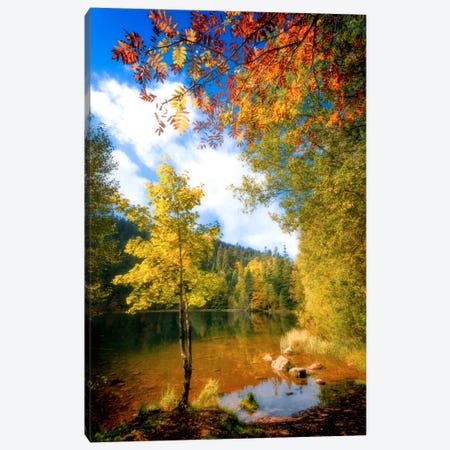 Fall Framing Canvas Print #PSL61} by Philippe Sainte-Laudy Canvas Art
