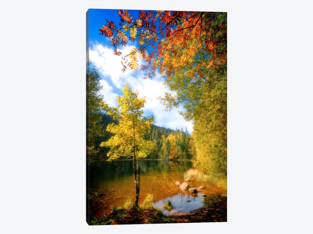 Fall Framing by Philippe Sainte-Laudy 1-piece Canvas Art Print