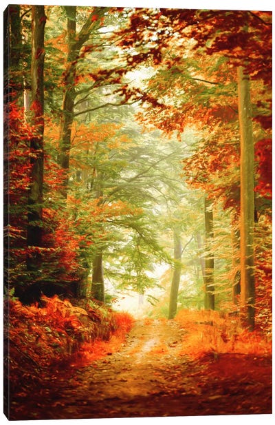Fall Painting Canvas Art Print - Scenic & Nature Photography