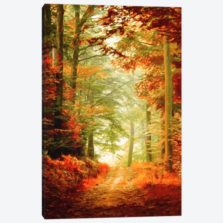 Fall Painting Canvas Print #PSL62} by Philippe Sainte-Laudy Canvas Artwork