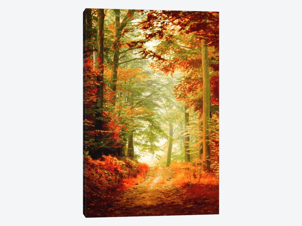 Fall Painting by Philippe Sainte-Laudy 1-piece Canvas Wall Art