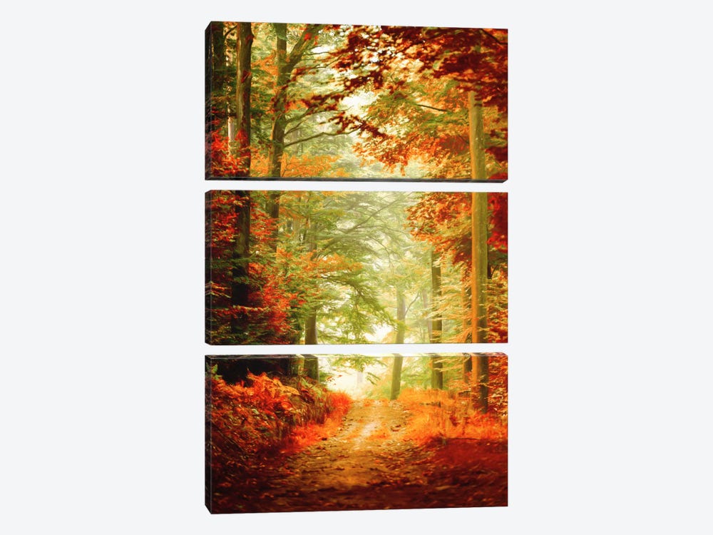Fall Painting by Philippe Sainte-Laudy 3-piece Canvas Wall Art