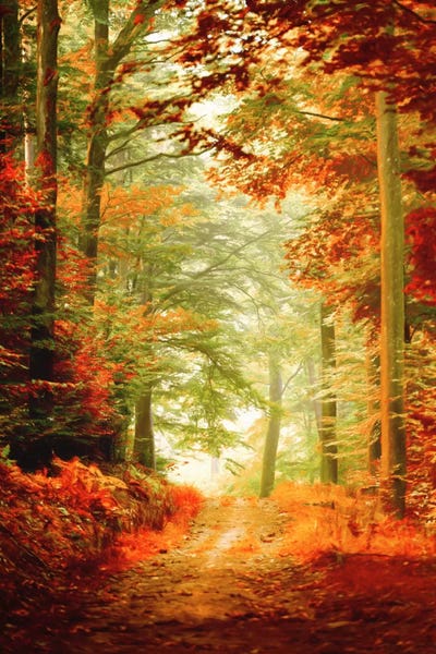 Large Photography - Canvas Prints: Fall Painting by Philippe Sainte-Laudy