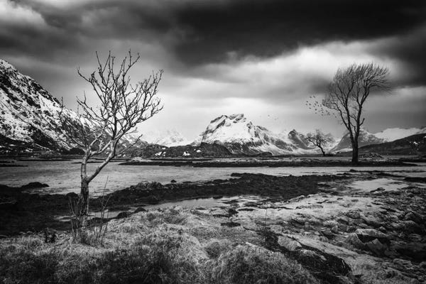 Snowy Mountains: In Another Dimension by Philippe Sainte-Laudy