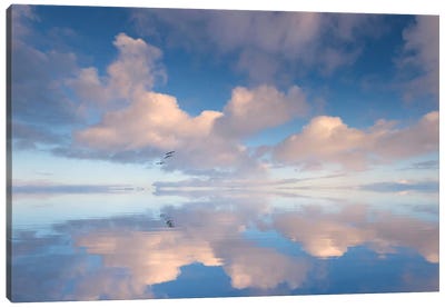 In This Moment Forever Canvas Art Print - Sea & Sky