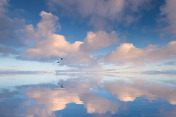 Seascapes: In This Moment Forever by Philippe Sainte-Laudy