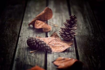 It's Time by Philippe Sainte-Laudy framed canvas print