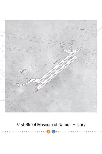 81st Street Museum of Natural History 3D Map Poster by Project Subway NYC art print