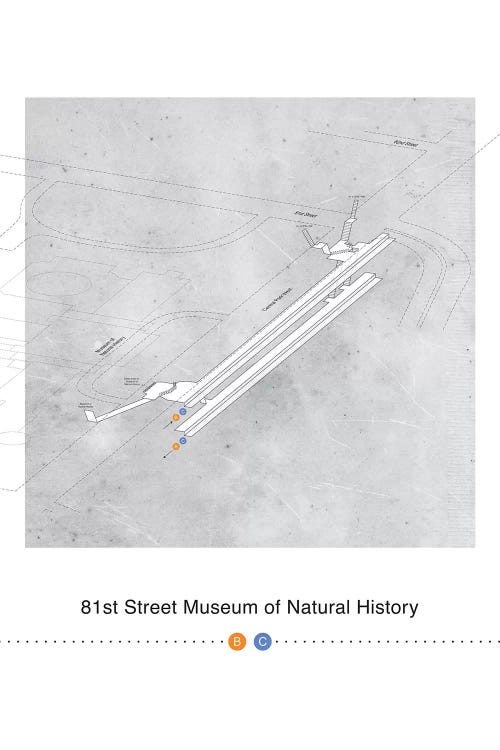 81st Street Museum of Natural History 3D Map Poster by Project Subway NYC wall art