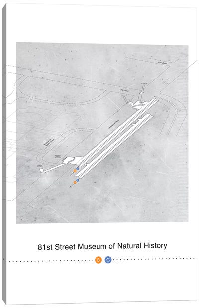 81st Street Museum of Natural History 3D Map Poster Canvas Art Print
