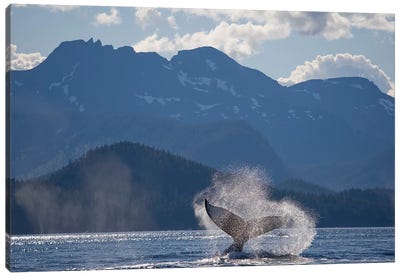 Humpback Whale's Tail, Chatham Strait, Alaska, USA Canvas Art Print - Whale Art