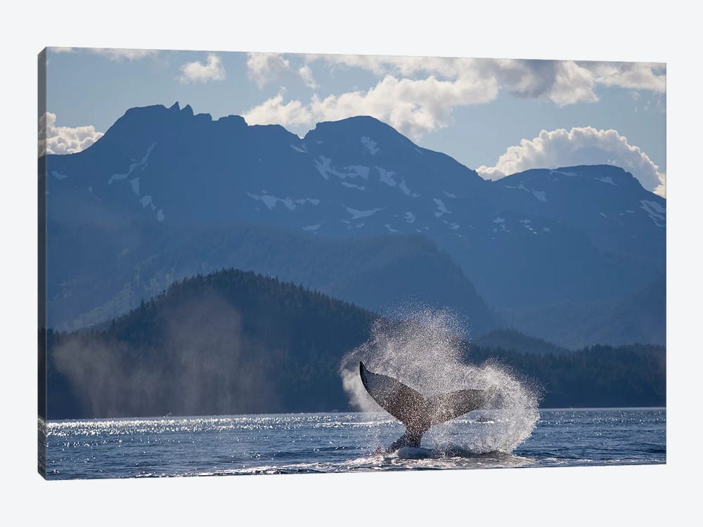 Humpback Whale's Tail, Chatham Strait, Alaska, USA by Paul Souders 1-piece Art Print