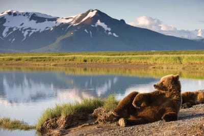 Katmai National Park