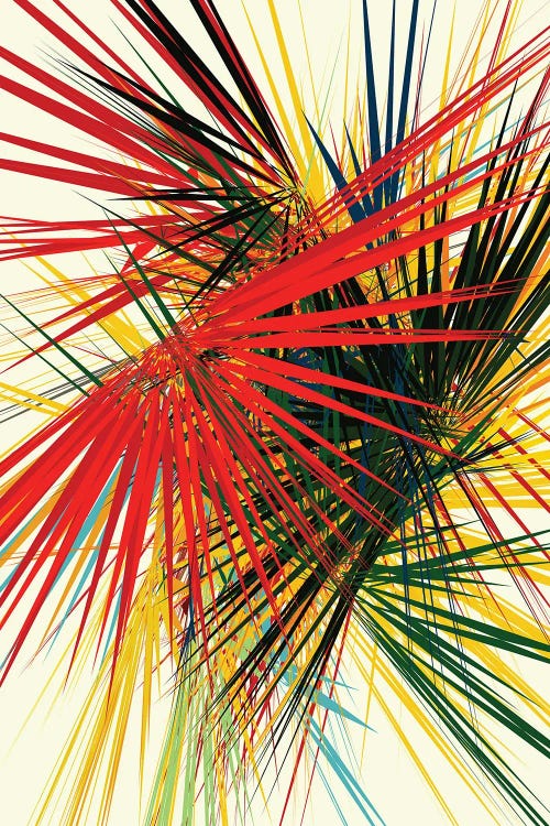 Format DCXV by Petr Strnad wall art