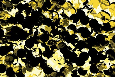 Transformed XIII by Petr Strnad canvas print