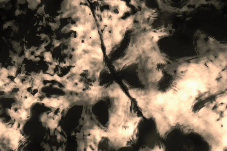 So Near, So Far I by Petr Strnad wall art
