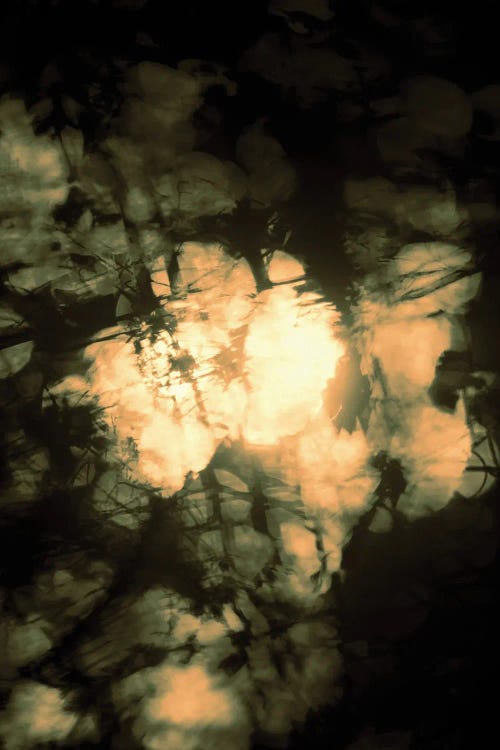 So Near, So Far VI