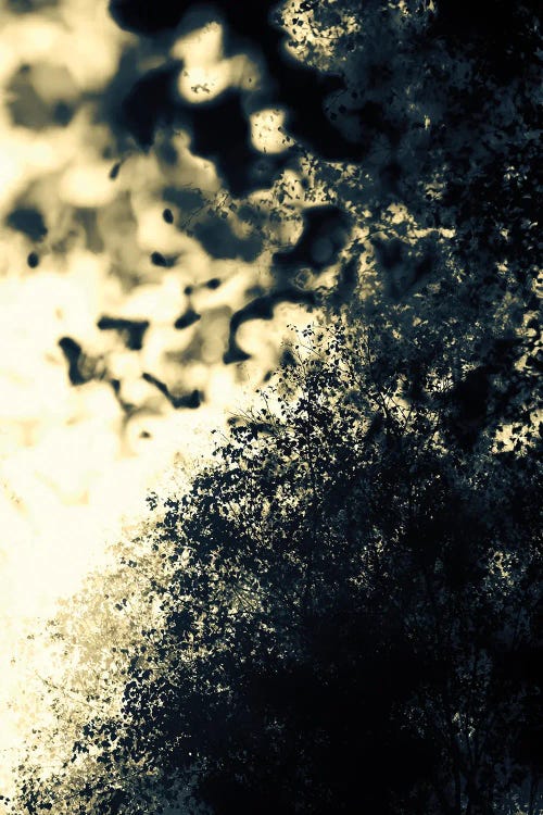 So Near, So Far VII by Petr Strnad wall art