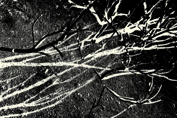 Burned III by Petr Strnad wall art
