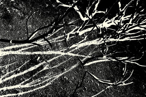 Abstract Photography: Burned III by Petr Strnad