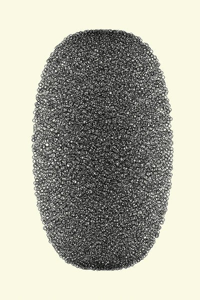 Format XXXIII by Petr Strnad canvas print