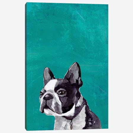 Frenchie Puppy  Canvas Print #PST1014} by PI Studio Art Print