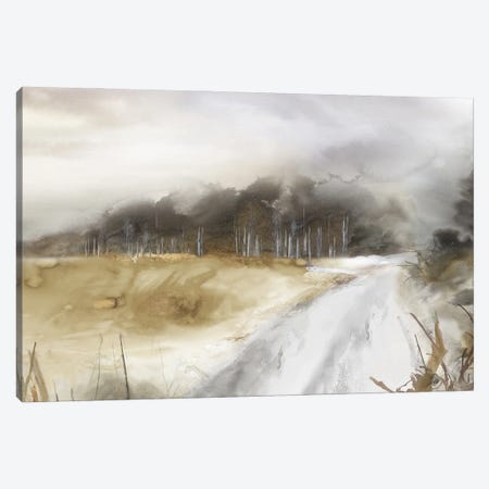 After The Storm II Canvas Print #PST1395} by PI Studio Canvas Wall Art