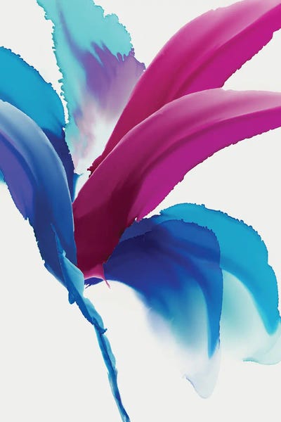 Birds Of Paradise: Magenta Bird Of Paradise by PI Studio